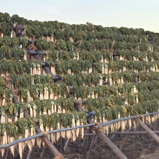 たくあんイメージ